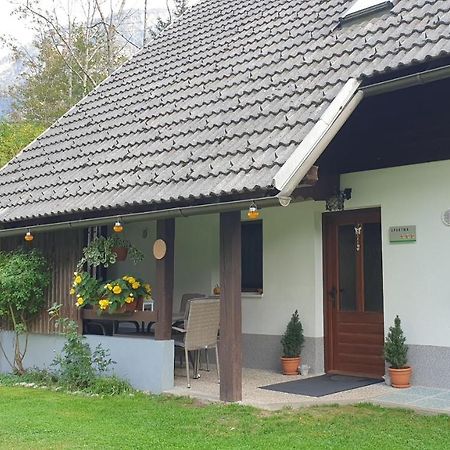 Apartment Sonce Bohinj ภายนอก รูปภาพ