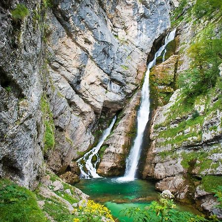 Apartment Sonce Bohinj ภายนอก รูปภาพ