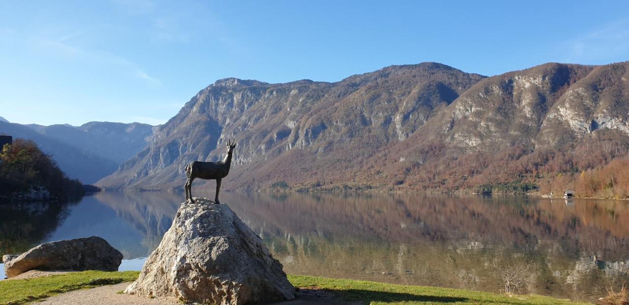 Apartment Sonce Bohinj ภายนอก รูปภาพ