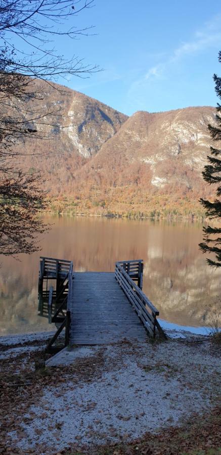 Apartment Sonce Bohinj ภายนอก รูปภาพ