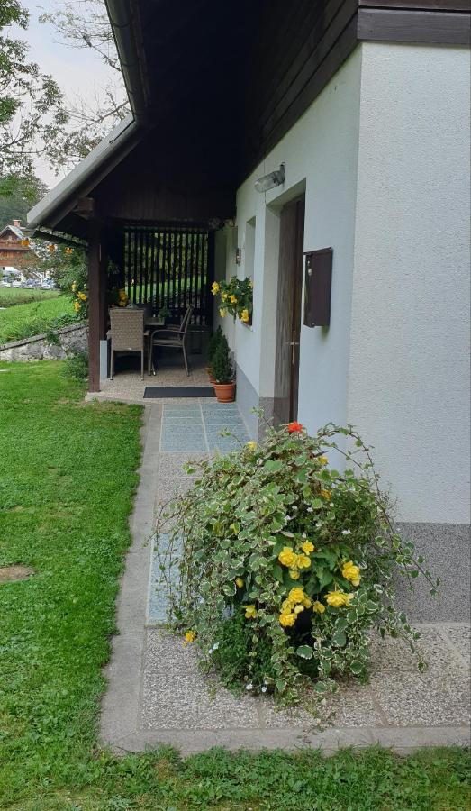 Apartment Sonce Bohinj ภายนอก รูปภาพ