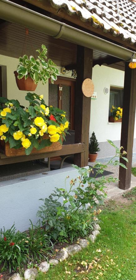 Apartment Sonce Bohinj ภายนอก รูปภาพ