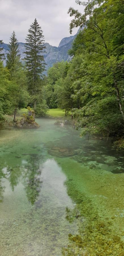 Apartment Sonce Bohinj ภายนอก รูปภาพ