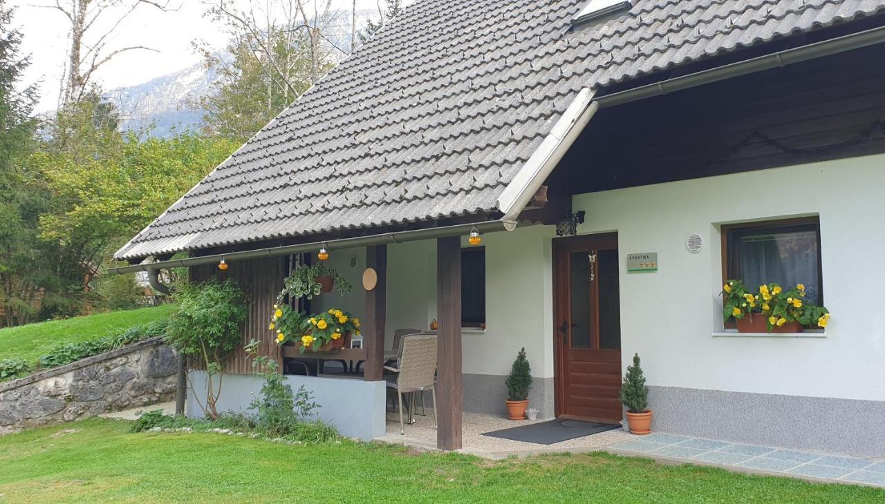 Apartment Sonce Bohinj ภายนอก รูปภาพ