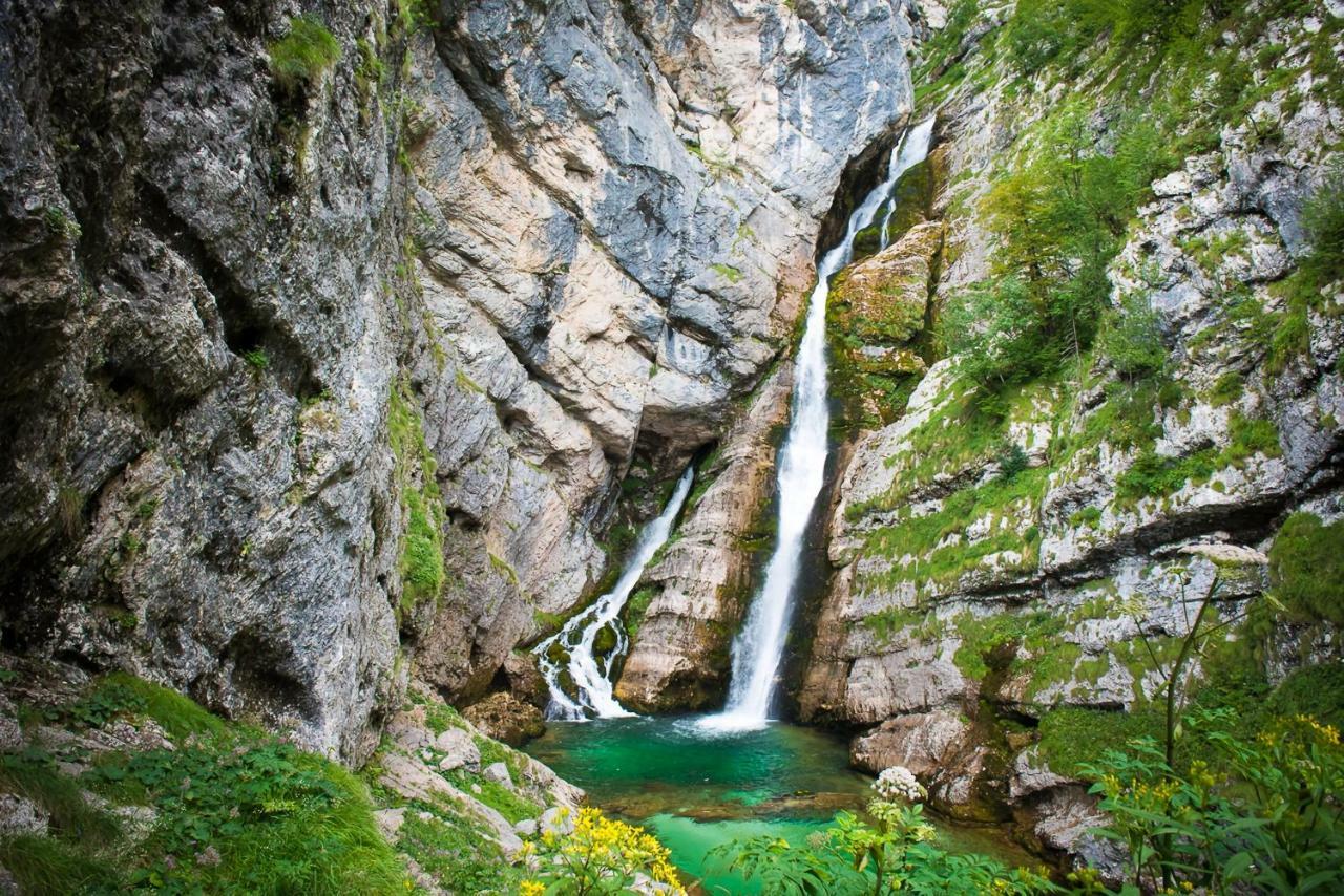 Apartment Sonce Bohinj ภายนอก รูปภาพ
